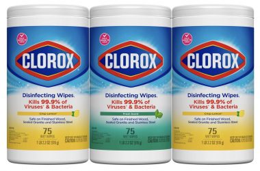 Pack of 3 Clorox Disinfecting Wipes As Low As $8.49 Shipped!
